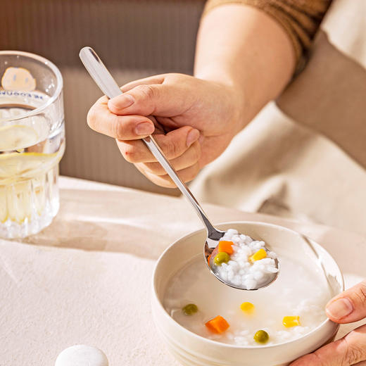 摩登主妇316L食品级不锈钢勺子个人专用汤匙家用高档精致长柄调羹 商品图3