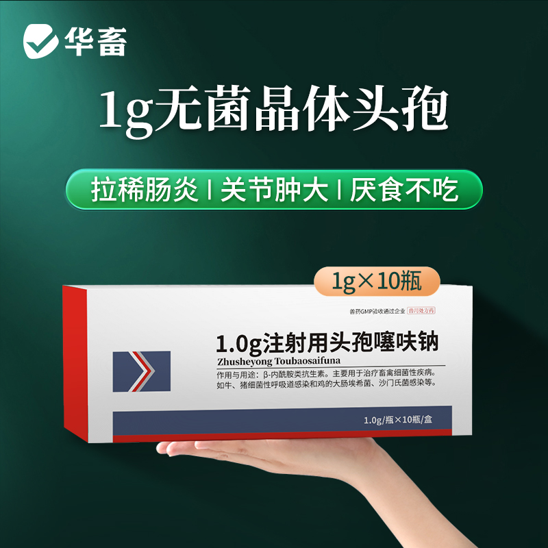 华畜兽用注射头孢噻呋钠猪牛羊消炎药养殖场用