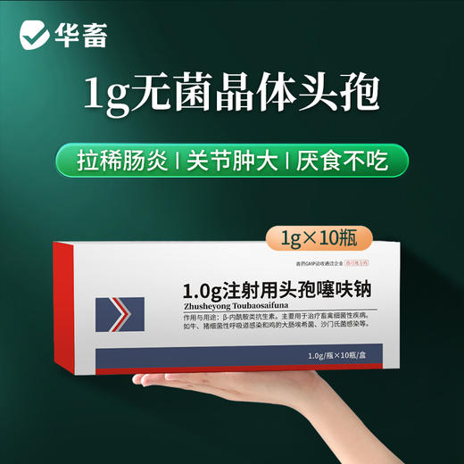 华畜兽用注射头孢噻呋钠猪牛羊消炎药养殖场用 商品图0