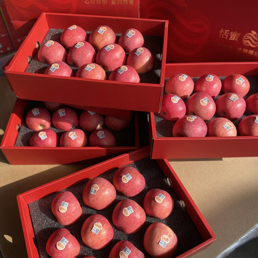 【红苹果】红富士 苹果，高颜值，全红苹果，冷藏后食用更酥脆！ 商品图2