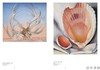 Artists Series: Georgia O'Keeffe / 艺术家系列：乔治亚·欧姬芙 商品缩略图4