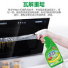 绿伞超强清新油烟净厨房重油污清洁剂油烟机除油垢绿茶香型500g*2瓶 商品缩略图1