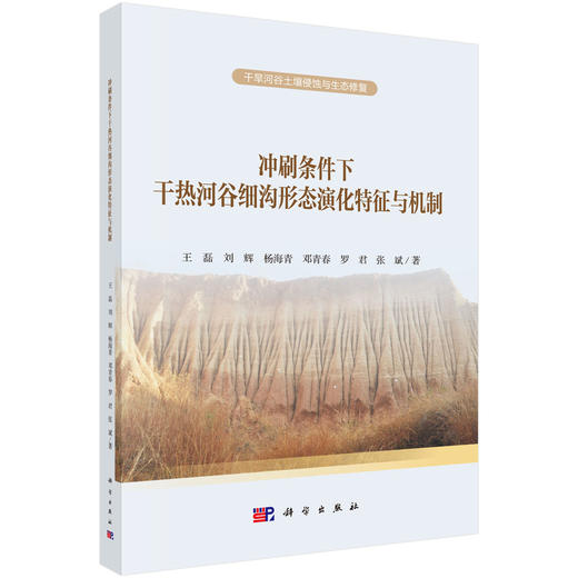冲刷条件下干热河谷细沟形态演化特征与机制 商品图0