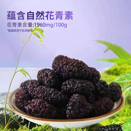 鲜记冻干桑葚80g 商品图4