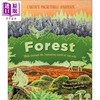 【中商原版】DK漫步栖息地 森林 Habitats series Forest 英文原版 儿童自然科学科普绘本 森林主题读物 进口童书7-12岁 精装 商品缩略图0