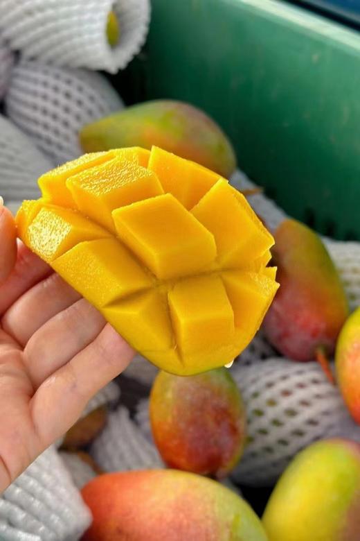 海南树上熟贵妃芒 🥭闭眼冲❗️甜嫩爆汁超好吃 顺丰/京东速发 精美礼盒装 5斤礼盒/ 8斤礼盒顺丰/京东随机 商品图5