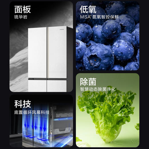 卡萨帝（Casarte）冰箱 BCD-602WGCTDAGWWU1 商品图2
