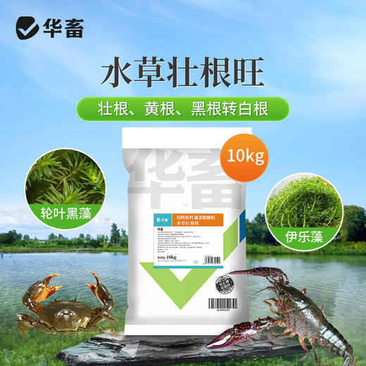 水产养殖鱼虾蟹鱼塘水草壮根旺肥水草根发芽高温保草根肥水产 商品图0