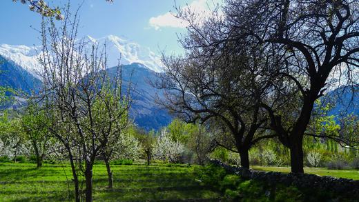 4.7确定出发【巴基斯坦】遇见秘境花开之美春摄12天<环球寻梦> 商品图10