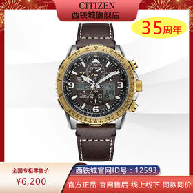 西铁城日本官方正品商务休闲光动能电波男士手表JY8084-17H