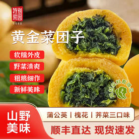 特别菜园黄金菜团子 蒲公英/槐花/荠菜三种口味 5斤鲜野菜才出1斤馅儿料 顺丰包邮到家