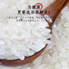 五常稻香米(5袋10斤) 商品缩略图1