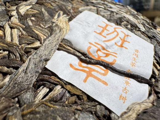 2025春 班章  古树青饼  新班章寨  200克/饼 商品图4
