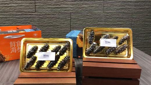 春节礼盒*  鲜食海参   36枚（约2斤） 商品图3