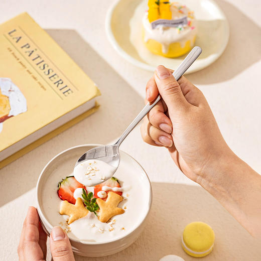 摩登主妇316L食品级不锈钢勺子个人专用汤匙家用高档精致长柄调羹 商品图1