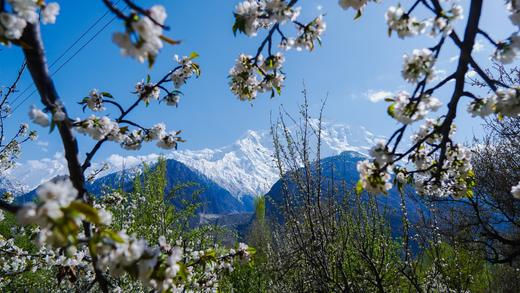 4.7确定出发【巴基斯坦】遇见秘境花开之美春摄12天<环球寻梦> 商品图13