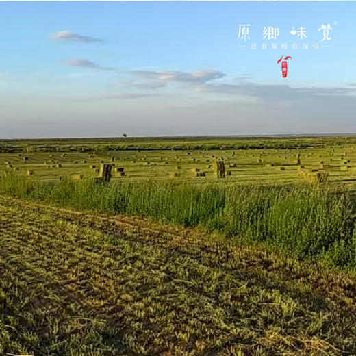 【预售现宰5天左右发】生态散养羊肉/宁夏盐池滩羊肉（基地直发-顺丰冷链包邮）| 5斤装；多种规格，来自宁夏盐池县，生产者：陈建虎【合作生产，公平贸易】 商品图7