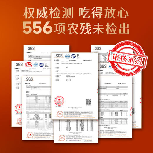 珠江桥牌 广式猪脚姜450g 升级加量不加价【加热即食-甜醋猪脚姜】 商品图12