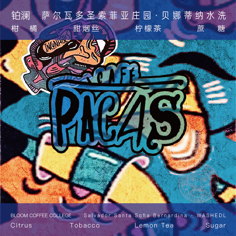 萨尔瓦多贝娜蒂纳水洗浅烘焙手冲咖啡豆