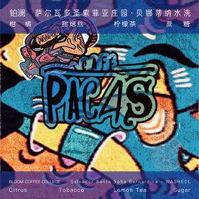 萨尔瓦多贝娜蒂纳水洗浅烘焙手冲咖啡豆