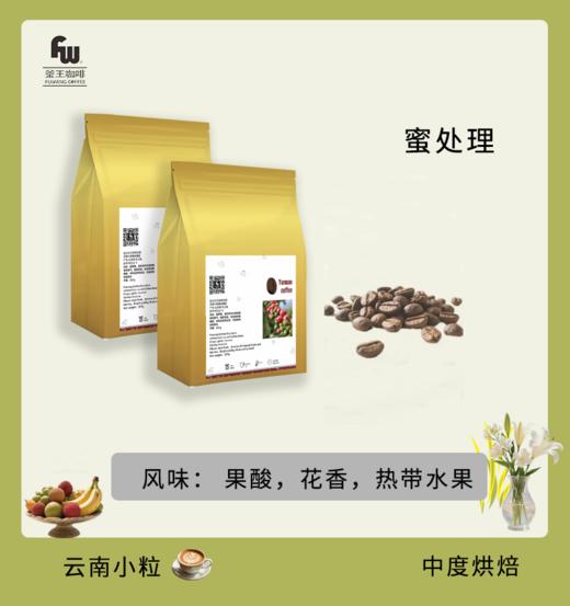 云南 釜王咖啡 蜜处理 中度烘培 云南小粒咖啡 果酸花香热带水果风味 227g 商品图0