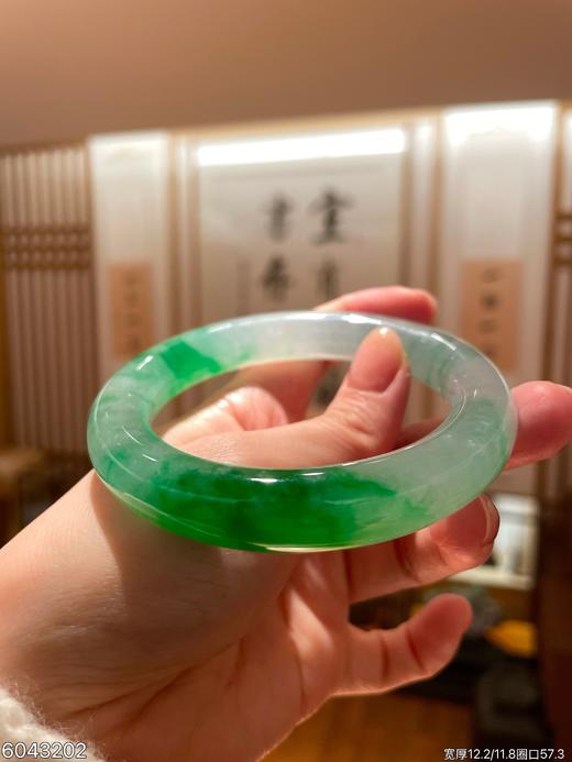 飘翠手镯【6043202】圈口57.3~具体价格微信咨询 商品图1