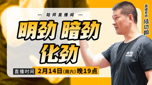 【2月14日】明劲、暗劲、化劲 商品图0