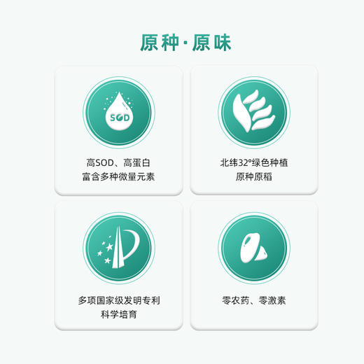 五月阳光 赢养黄金谷粉 商品图1