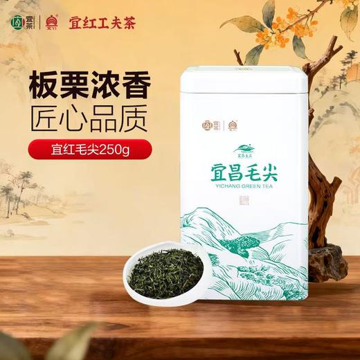 【宜茶甄选】宜昌毛尖浓香耐泡口粮茶罐装半斤250g 商品图2