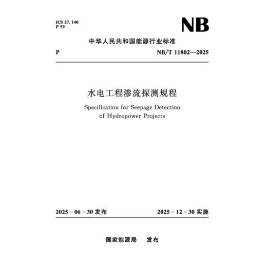 水电工程渗流探测规程（NB/T 11802—2025） 商品图0