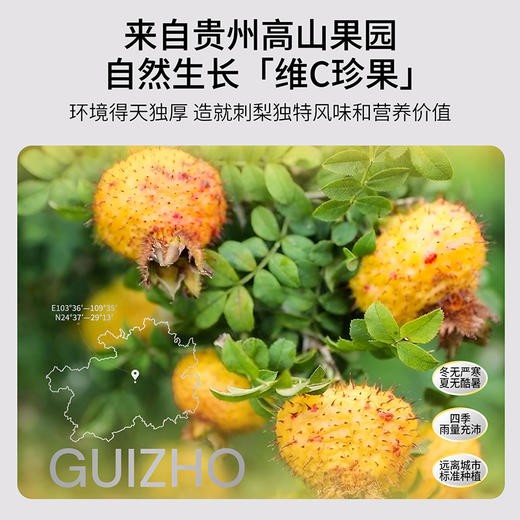 杞里香&默小吉 贵州刺梨原浆210ml盒原浆原汁饮VC 商品图5