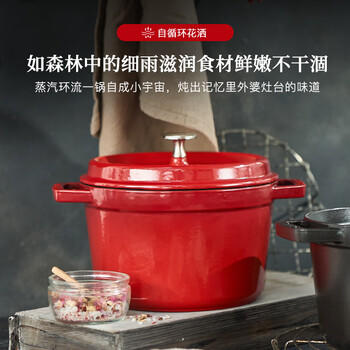 珐宝（staub）法国进口珐琅铸铁锅双耳煲汤烹饪锅具深炖锅樱桃红24cm 40501-485 /厨具 /烹饪锅具 /珐琅锅 商品图6