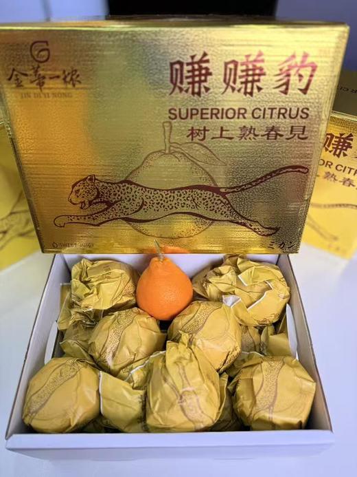 赚赚豹丑橘礼盒 商品图0