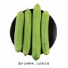 丝瓜（精包）（250±30g） 商品缩略图1