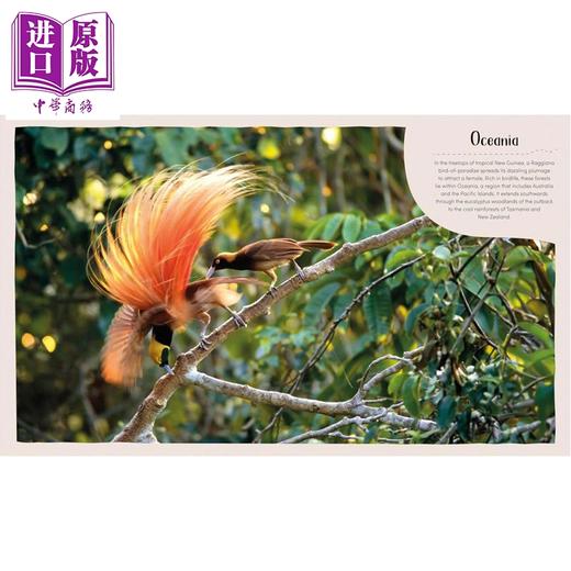 【中商原版】DK漫步栖息地 森林 Habitats series Forest 英文原版 儿童自然科学科普绘本 森林主题读物 进口童书7-12岁 精装 商品图2