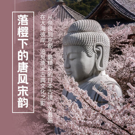 4.5-4.11｜马加奇｜落樱下的唐风宋韵尾款 商品图0