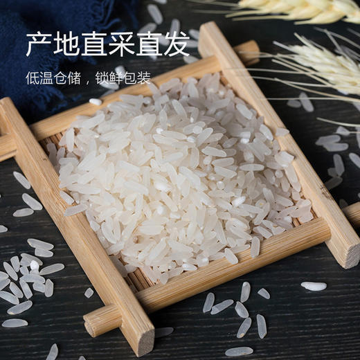 五常稻香米2号特等大米(10斤真空包装) 商品图2