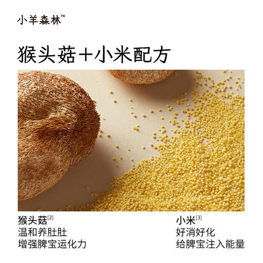 「猴头菇小米脆」米香脆脆 低温烘烤 不起小火苗 元气满满 商品图2