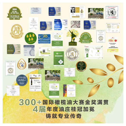 2026新油 欧惟德·蓝标系列 特级初榨橄榄油 商品图2
