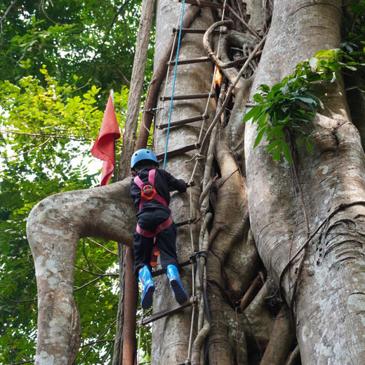 云南 | 版纳帕瓦老寨雨林徒步，距离市区1小时内车程轻松雨林徒步，超丰富一日探索：丛林水上秋千/树攀树降/动植物科普/哈尼族特色美食/割胶体验/化野人妆/看云海/探洞瀑布！五一端午路线提前预定！ 商品图9