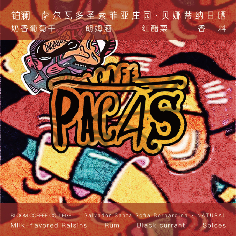 萨尔瓦多贝娜蒂纳日晒浅烘焙手冲咖啡豆