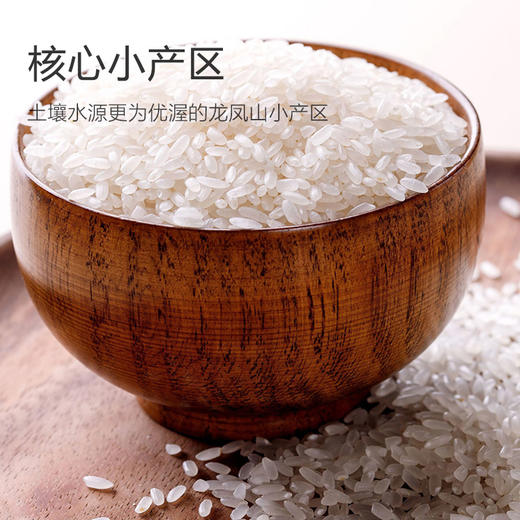 五常稻香米2号特等大米(10斤真空包装) 商品图1
