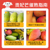 京鲜生 海南贵妃芒果 净重8斤 单果150g+ 新鲜水果 源头直发 商品缩略图1