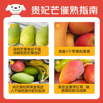 京鲜生 海南贵妃芒果 净重8斤 单果150g+ 新鲜水果 源头直发 商品图1