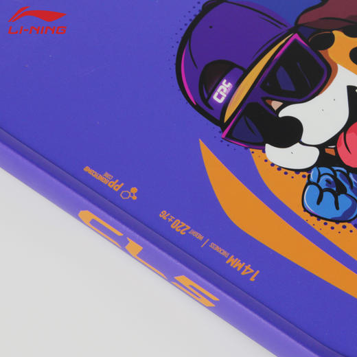 李宁匹克球拍入门级训练壁球拍ACPW007力量型匹克球拍 商品图2