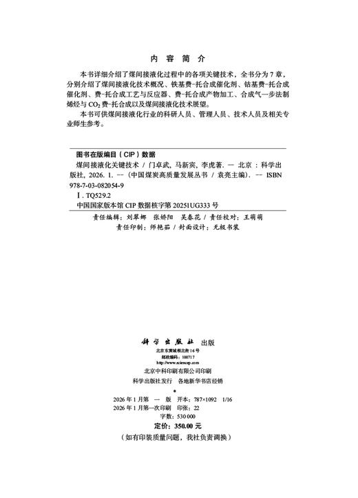煤间接液化关键技术 商品图2