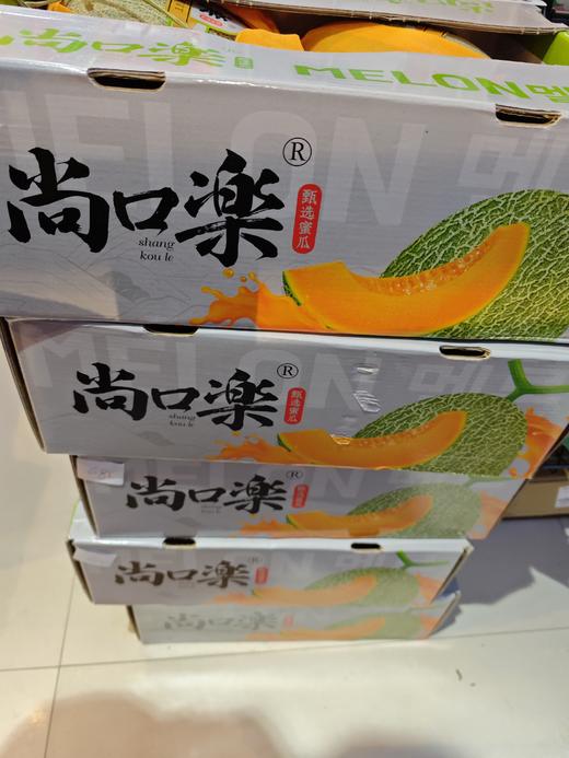 哈蜜瓜一件 商品图0