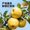 顺丰！西域美农黄金维纳斯苹果 纯甜无酸 产地新疆红旗坡 商品缩略图1