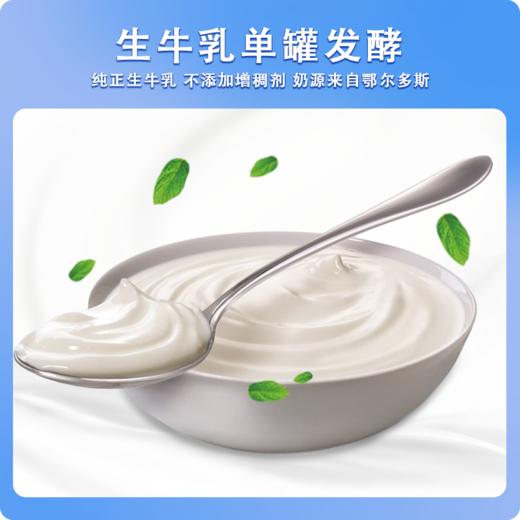 【醒粉福利29.9元12瓶】骑士老北京罐装酸奶到手170g*12瓶 商品图3