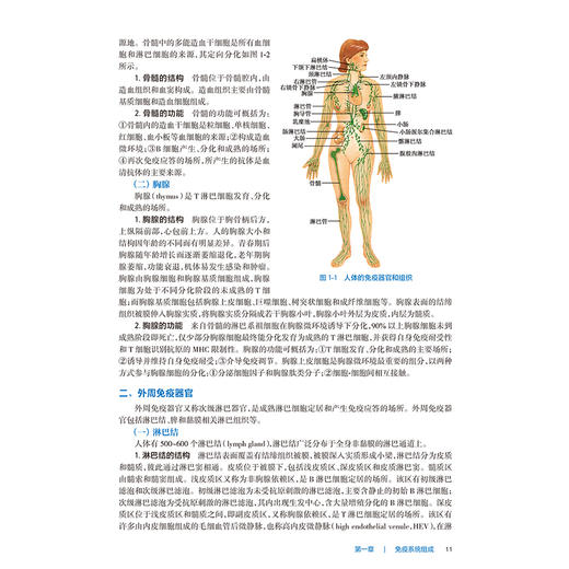 病原生物学和免疫学 第9九版 十四五规划教材 全国高等职业教育专科教材 吴松泉 吴正吉 主编 供临床医学专业用 人民卫生出版社 商品图4